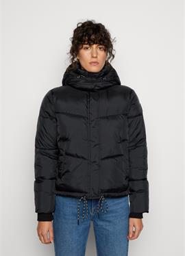 HOODED ARCTIC PUFFER куртка - зимняя куртка